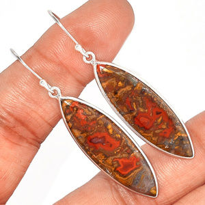 natural Seam Agate Earrings 925